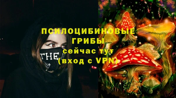мяу мяу мука Аркадак