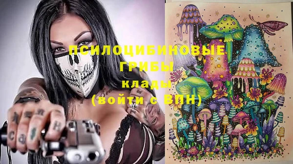 мяу мяу мука Аркадак