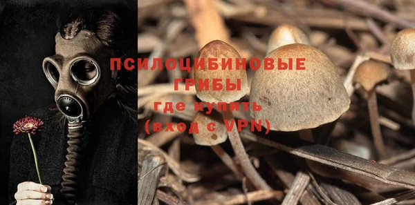 a pvp Арсеньев