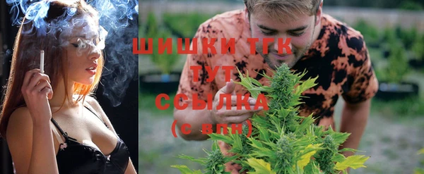 дмт Армянск